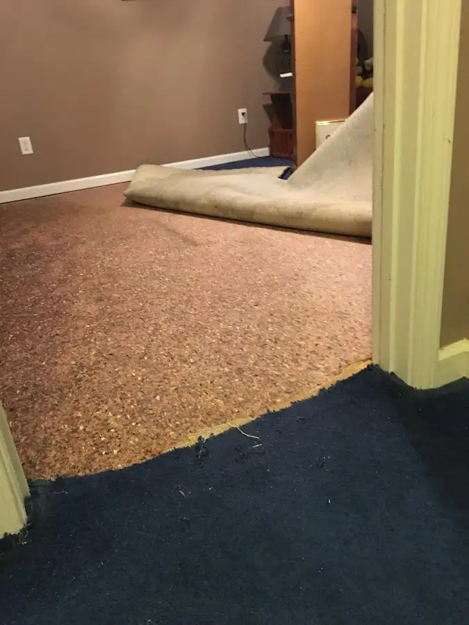 Carpet pad removal revealing water damage during Drying & Dehumidification in Old Lyme